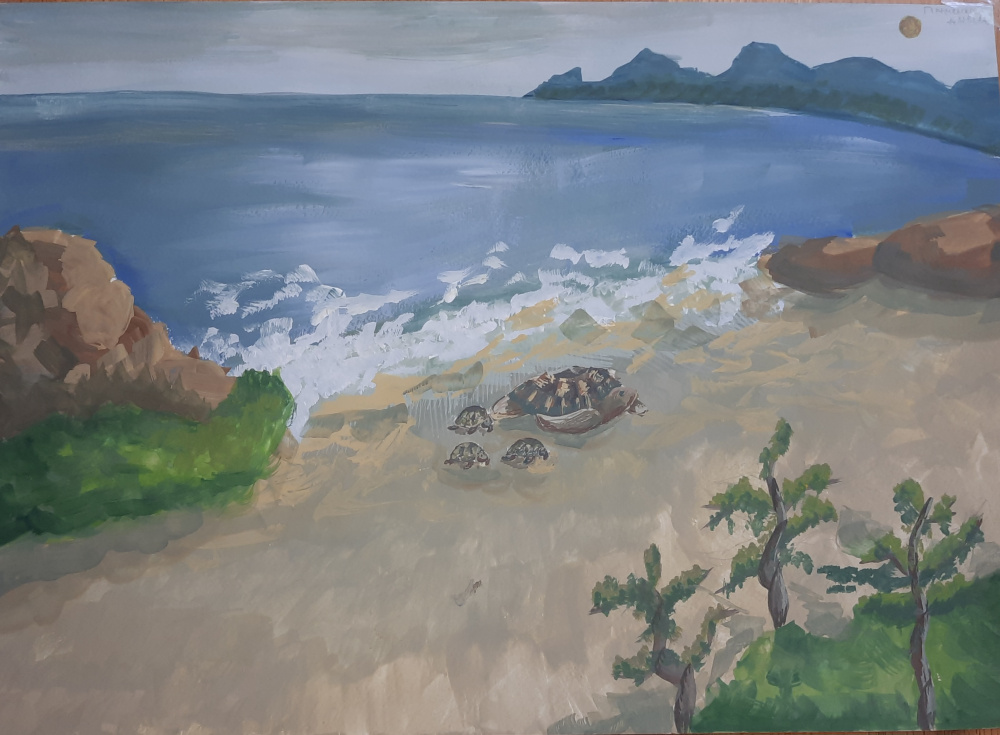 Чёрное море.Большой Утриш(морской заказник).