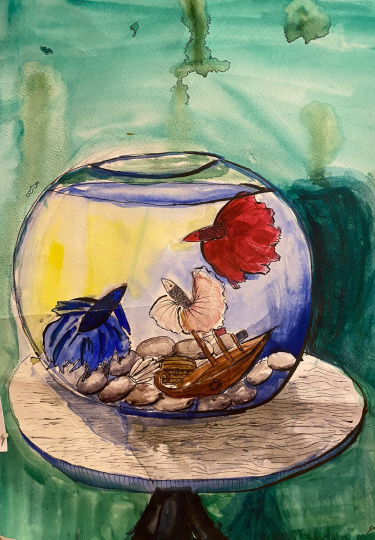 "Прежде, чем любить мировой океан, полюби свой аквариум"