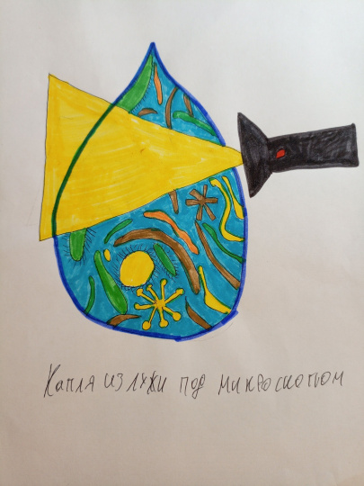 Капля из лужи под микроскопом