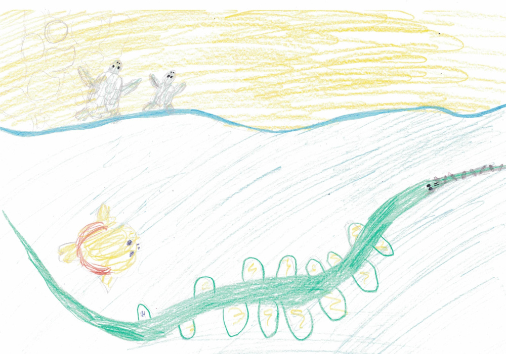 Обитатели будущих водоемов