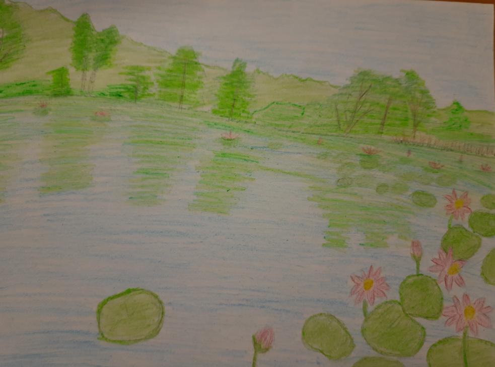 Лотосы комарова