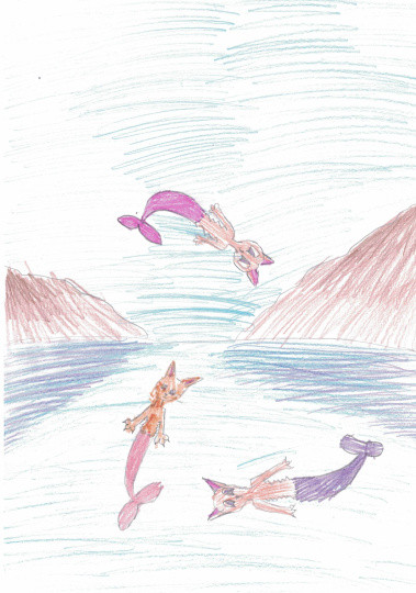 Семья водных котов