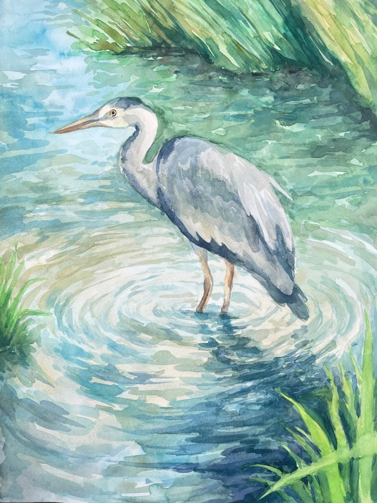 Среда обитания