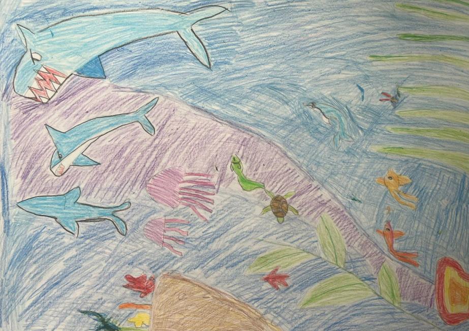 Морской мир