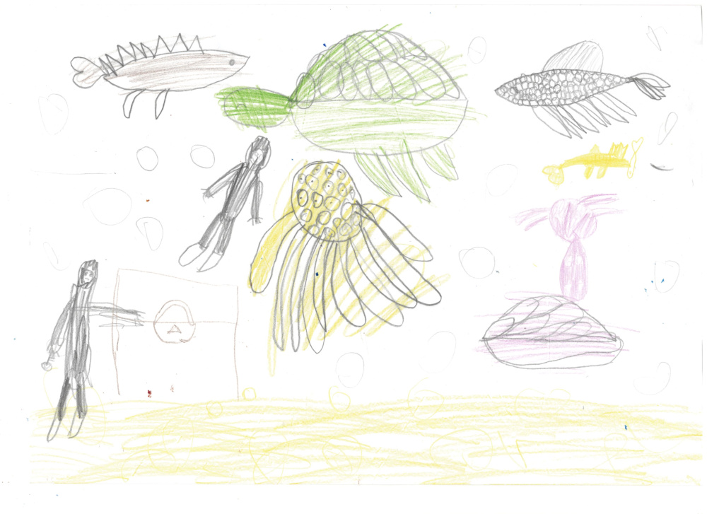 Волшебный океан