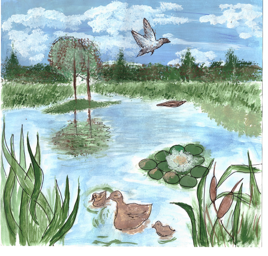   Теньгинское озеро в тонких контрастах лета