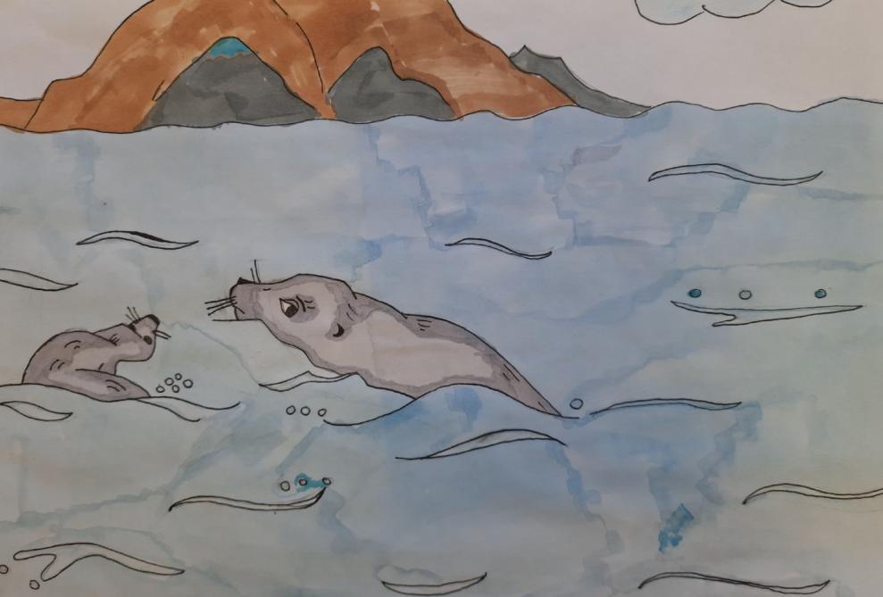 Нерпы в Байкале