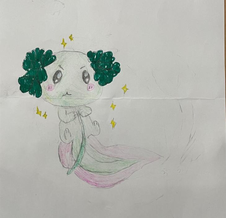 Удивительное рядом