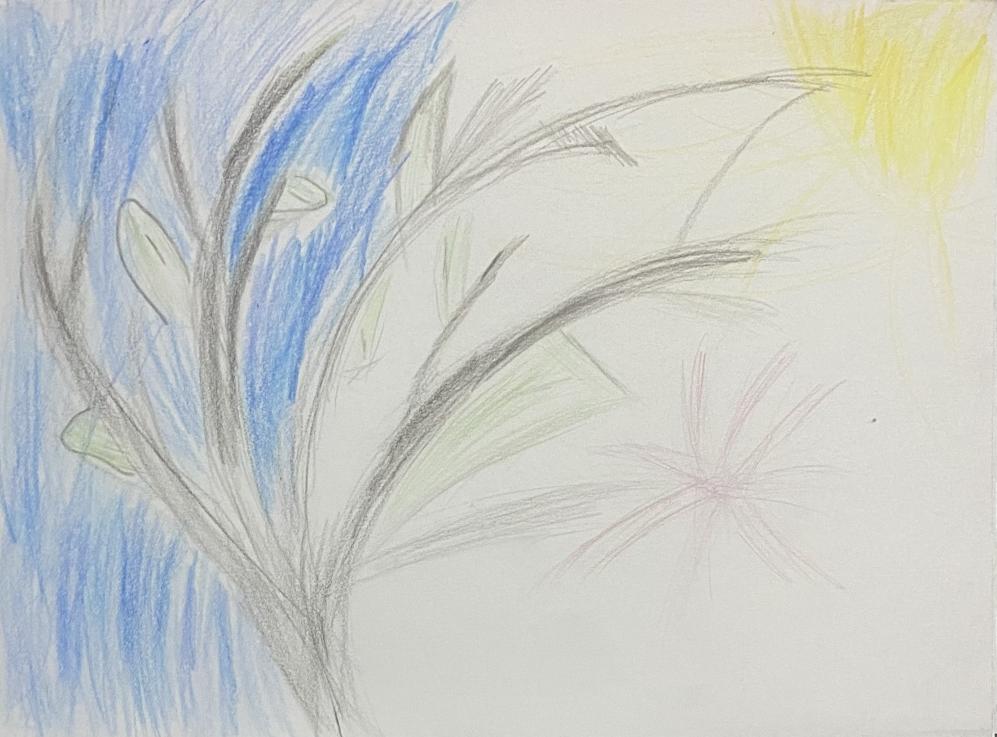 «Тайны реки»