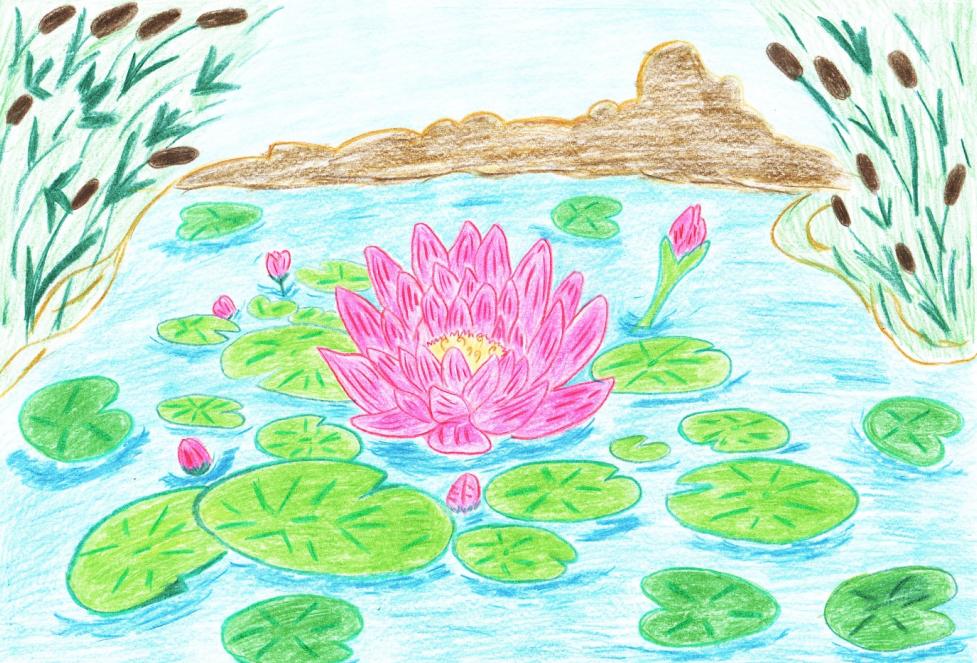 лилия на воде