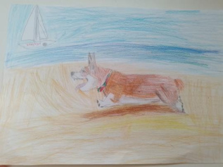 Корги и вода-наши лучшие друзья!