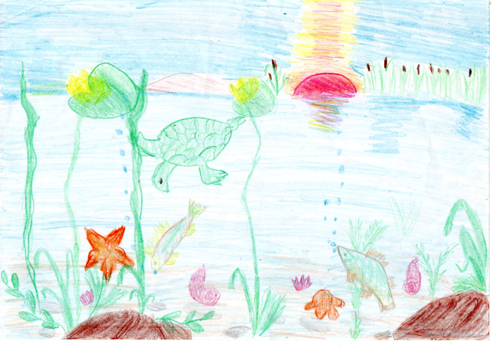 "Подводное царство"