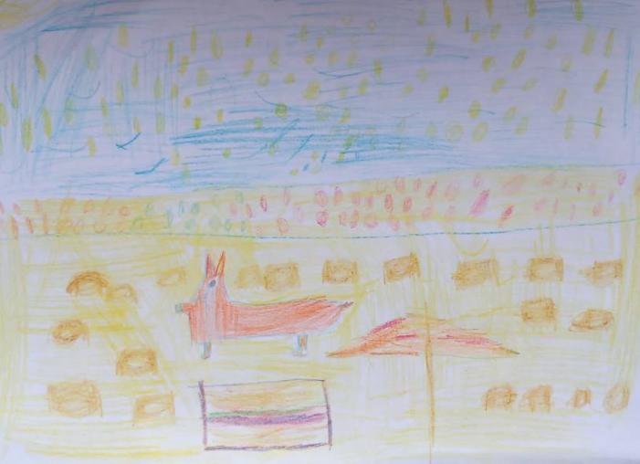 Корги на берегу реки