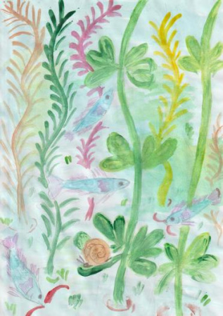 Подводный мир