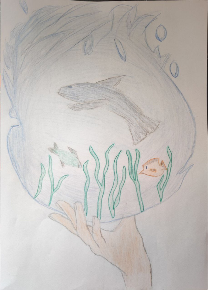 чистый океан