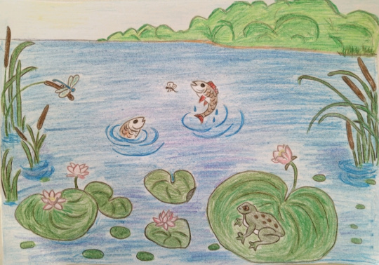 Весёлый переполох