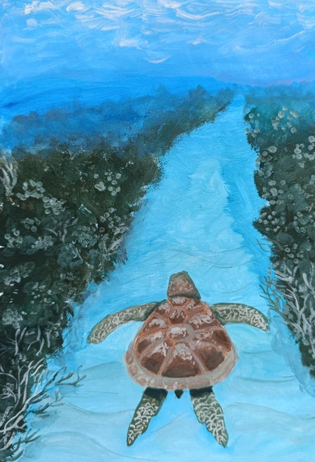 Гостья из южных морей