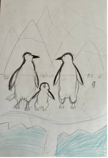 Пингвины