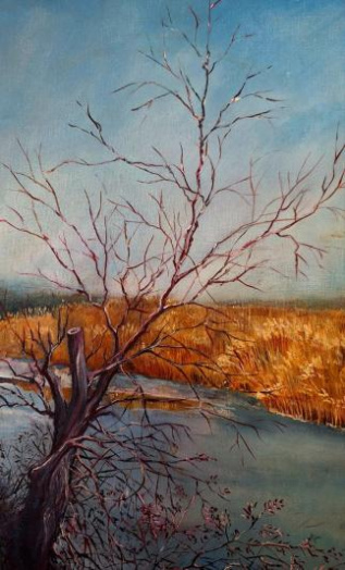 Зима на реке Калке